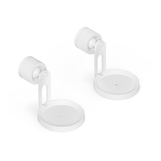 Sonos Era 100 Pro Surface Mount IMG